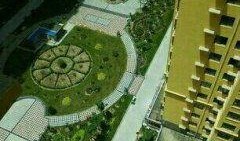 西安三桥爆料最新消息,揭秘神秘事件背后的真相